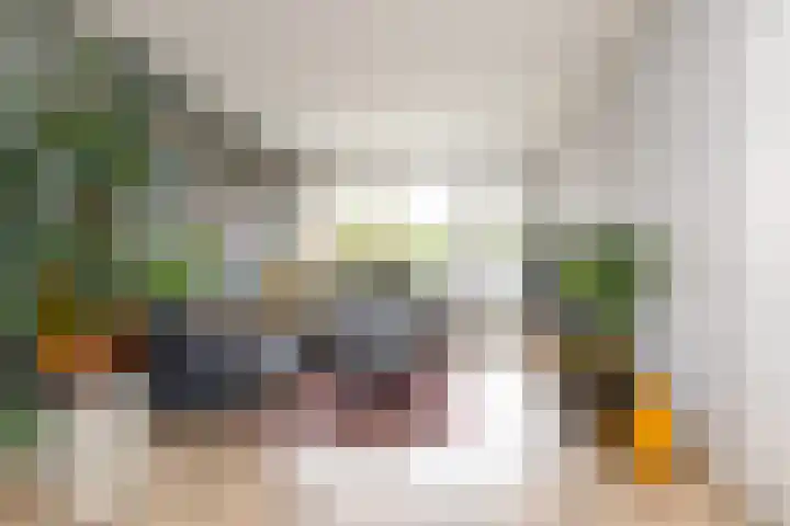 Hogenkampsweg 100 Zwolle thumbnail 5