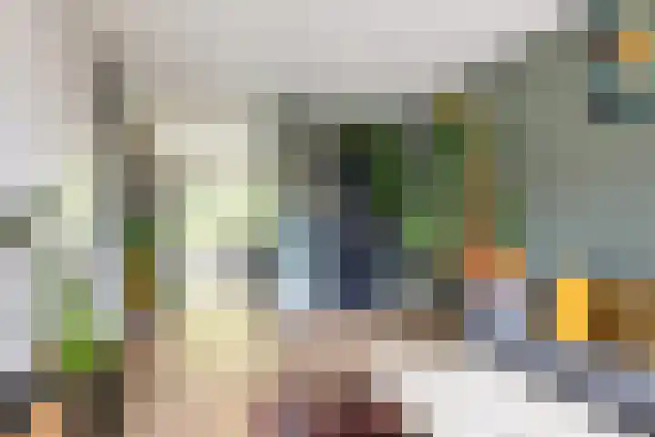 Hogenkampsweg 100 Zwolle thumbnail 6