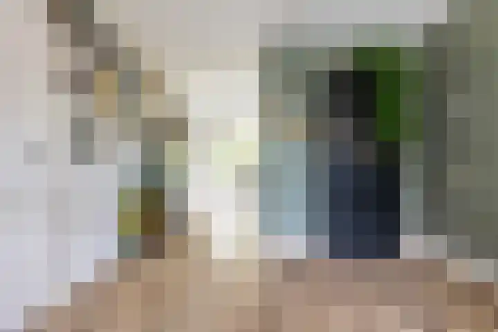 Hogenkampsweg 100 Zwolle thumbnail 7