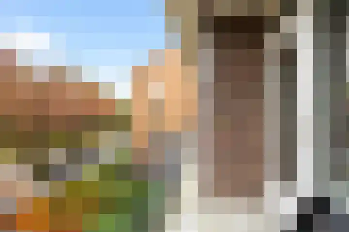 Hogenkampsweg 100 Zwolle thumbnail 9
