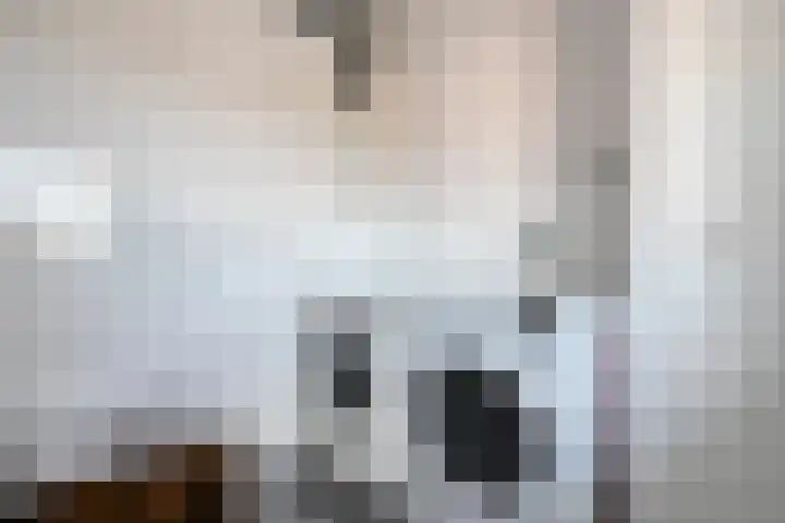 Hogenkampsweg 103 Zwolle thumbnail 12