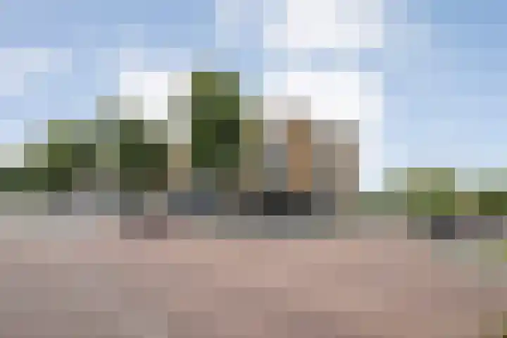 Hogenkampsweg 103 Zwolle thumbnail 23