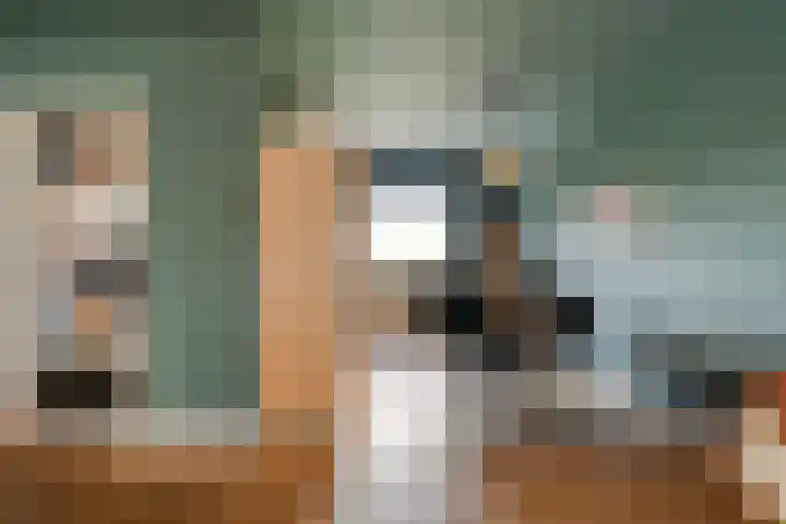 Hogenkampsweg 103 Zwolle thumbnail 6