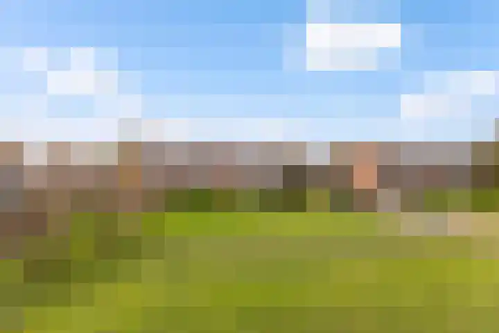 Hogenkampsweg 109 Zwolle thumbnail 10