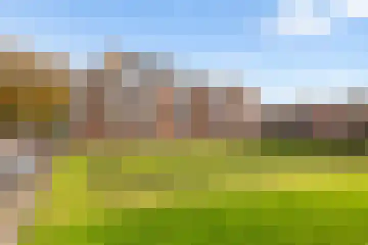 Hogenkampsweg 109 Zwolle thumbnail 18