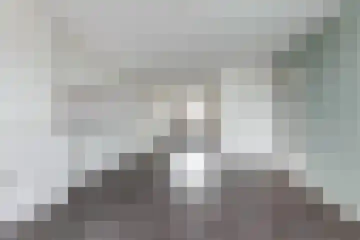 Hogenkampsweg 109 Zwolle thumbnail 4