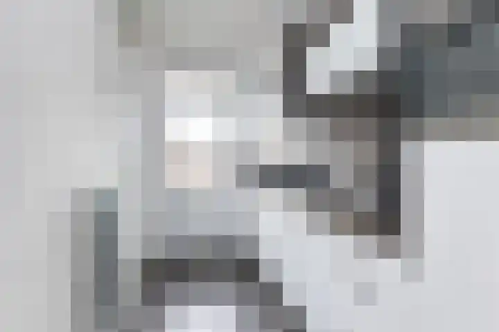 Hogenkampsweg 109 Zwolle thumbnail 5