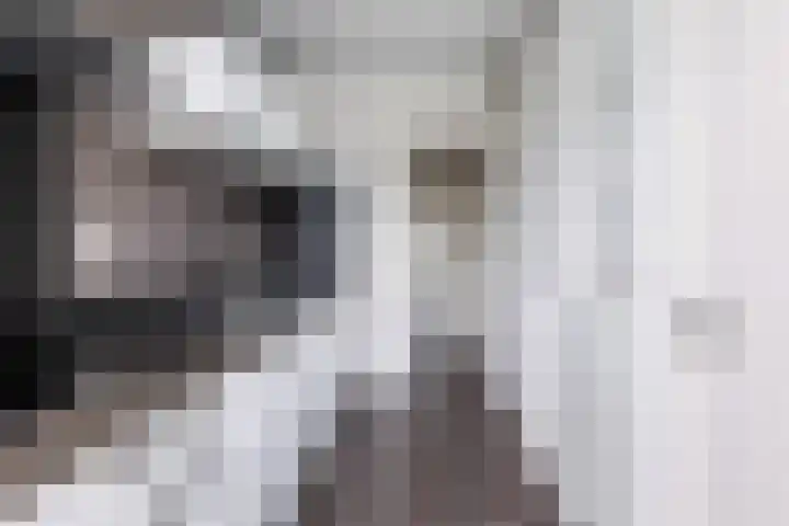 Hogenkampsweg 109 Zwolle thumbnail 6