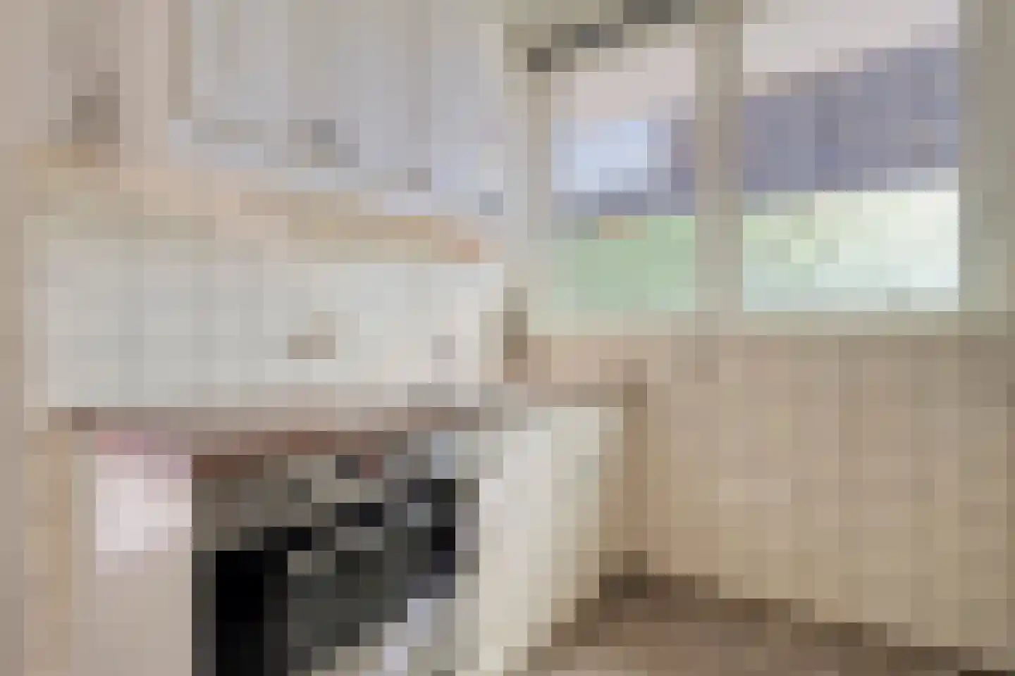 Hogenkampsweg 113 Zwolle thumbnail 15