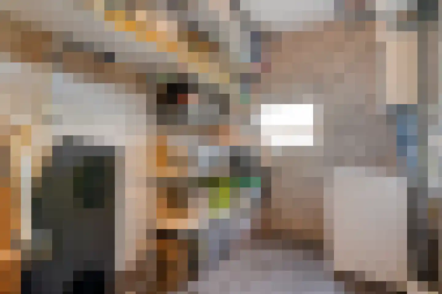 Hogenkampsweg 113 Zwolle thumbnail 21