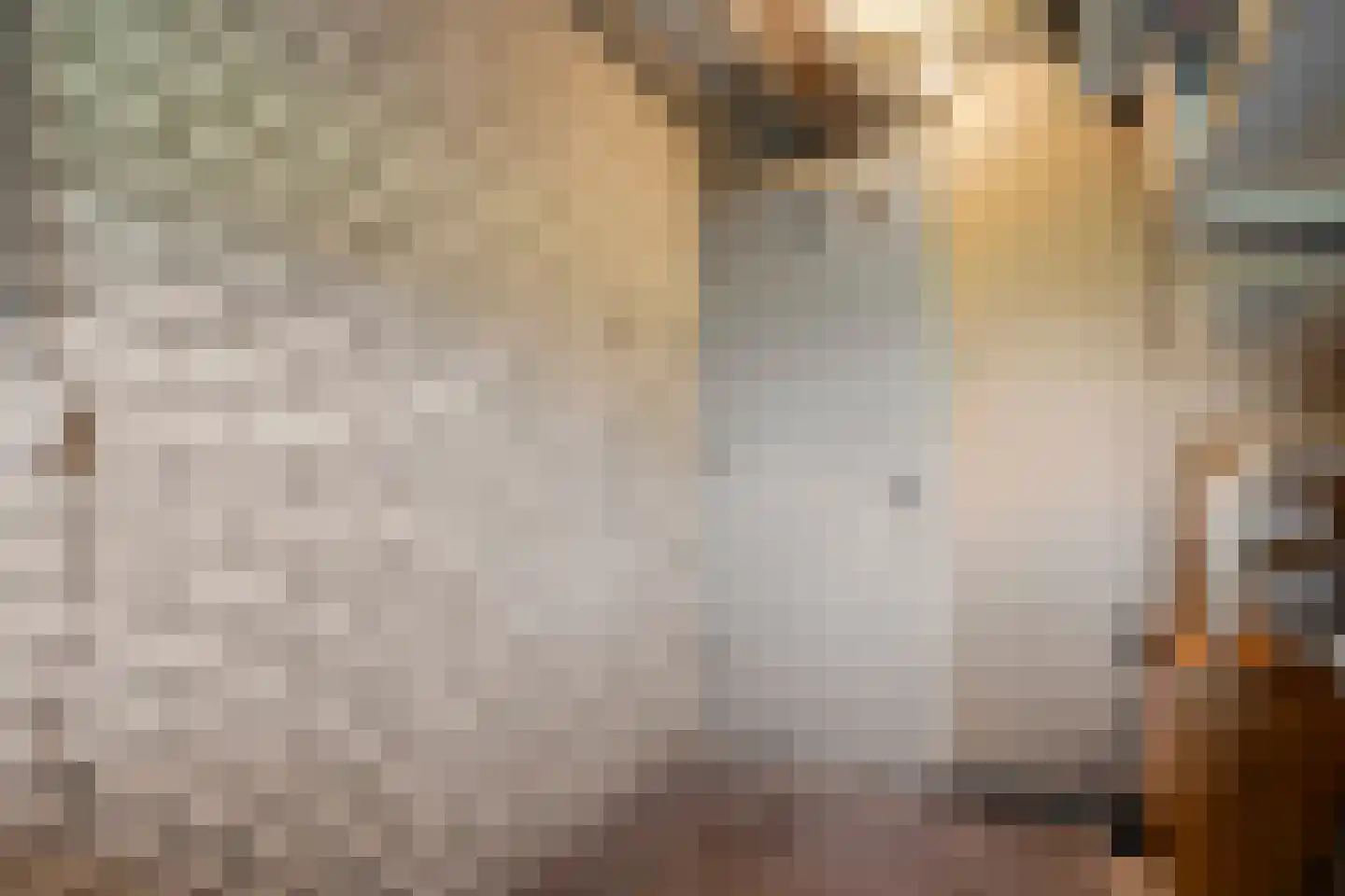 Hogenkampsweg 113 Zwolle thumbnail 22