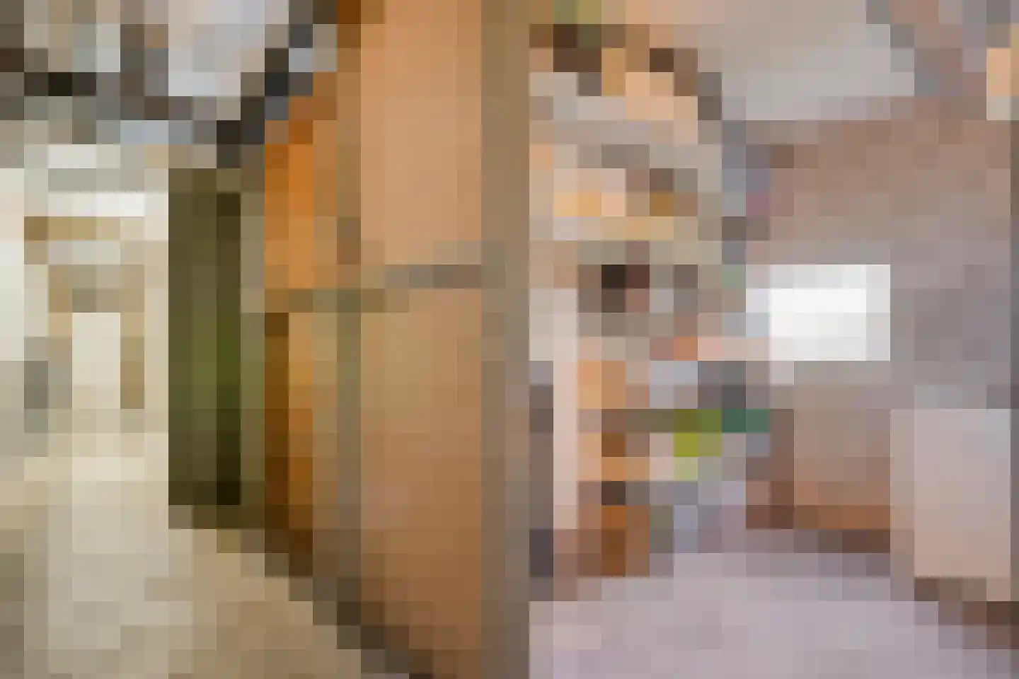 Hogenkampsweg 113 Zwolle thumbnail 23