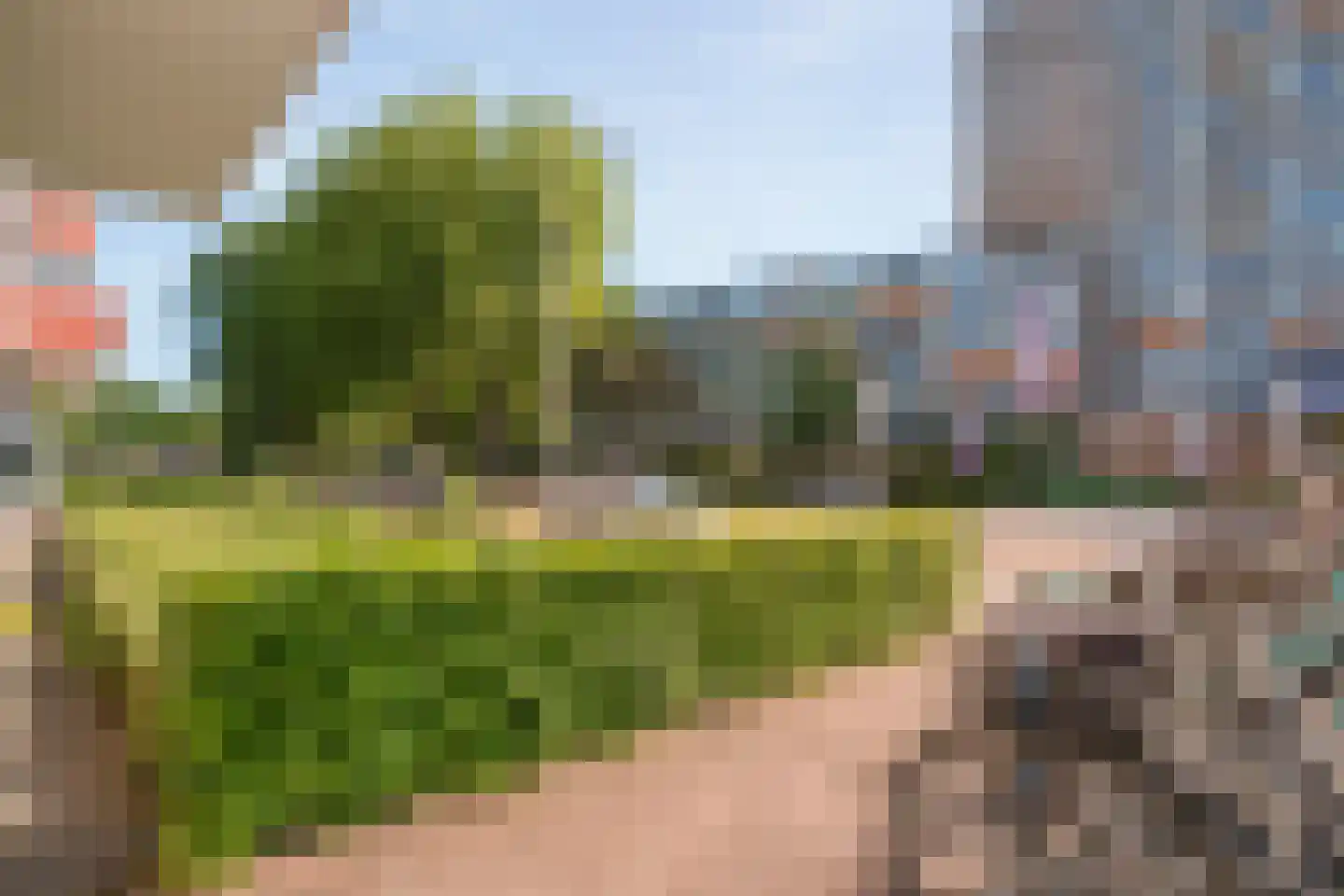 Hogenkampsweg 113 Zwolle thumbnail 24