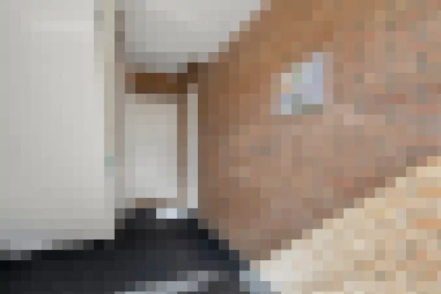 Hogenkampsweg 113 Zwolle thumbnail 8