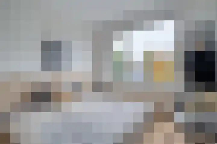 Hogenkampsweg 120 Zwolle thumbnail 12