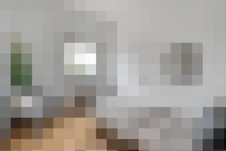 Hogenkampsweg 120 Zwolle thumbnail 15