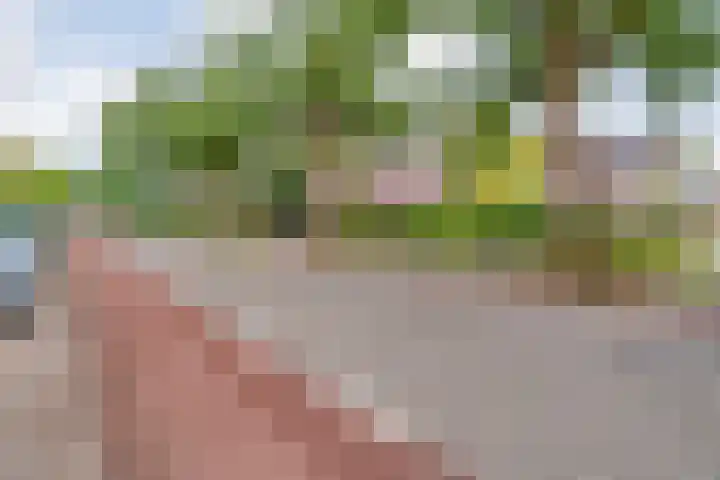 Hogenkampsweg 120 Zwolle thumbnail 25