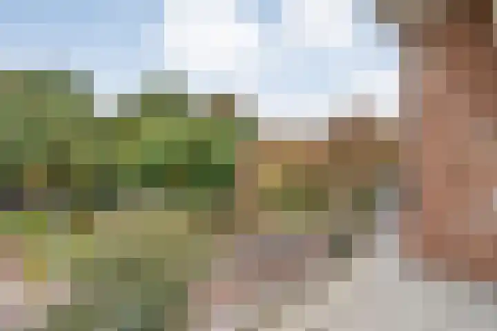 Hogenkampsweg 120 Zwolle thumbnail 6