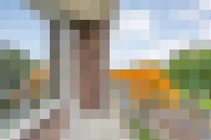 Hogenkampsweg 120 Zwolle thumbnail 7