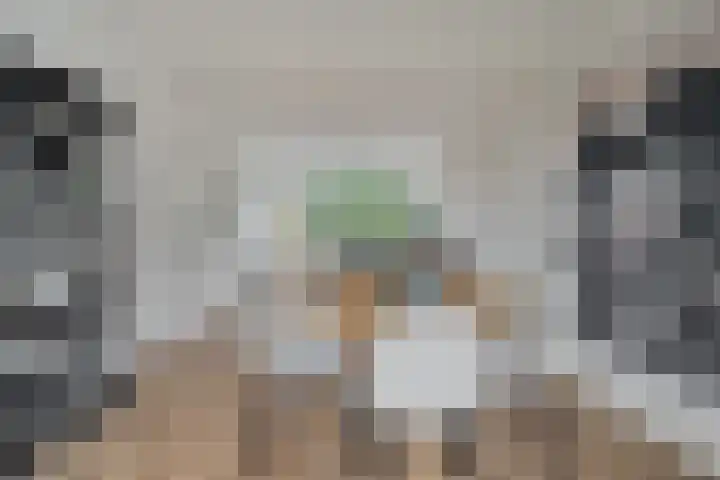 Hogenkampsweg 120 Zwolle thumbnail 8