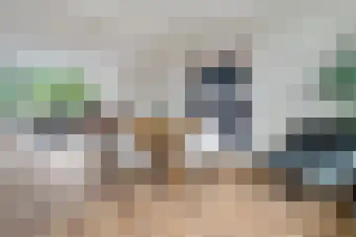 Hogenkampsweg 120 Zwolle thumbnail 9