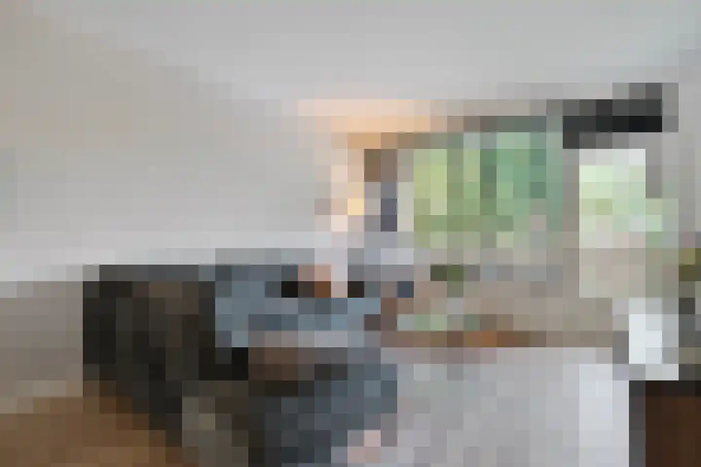 Hogenkampsweg 14 Zwolle thumbnail 13