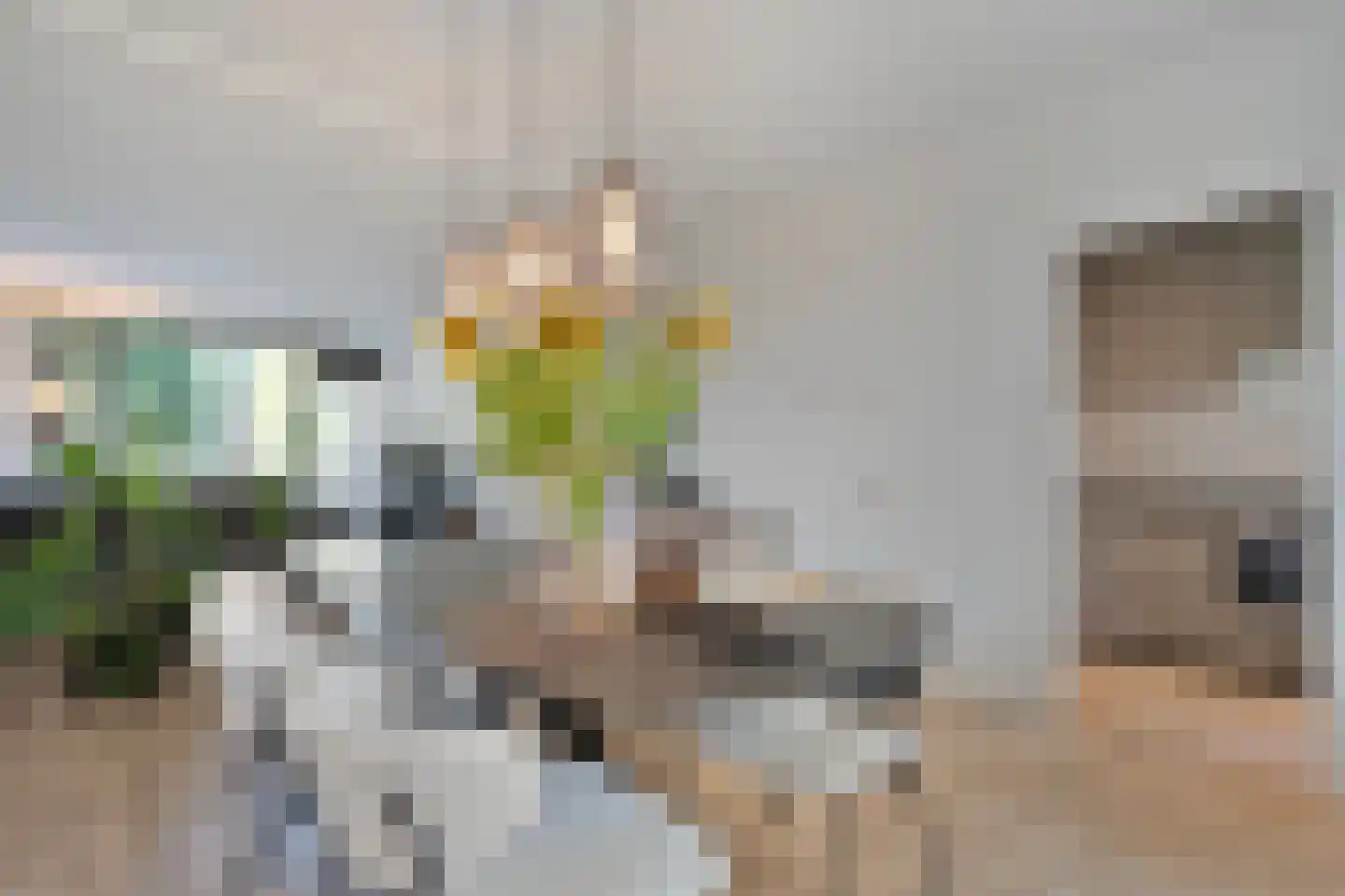 Hogenkampsweg 14 Zwolle thumbnail 17