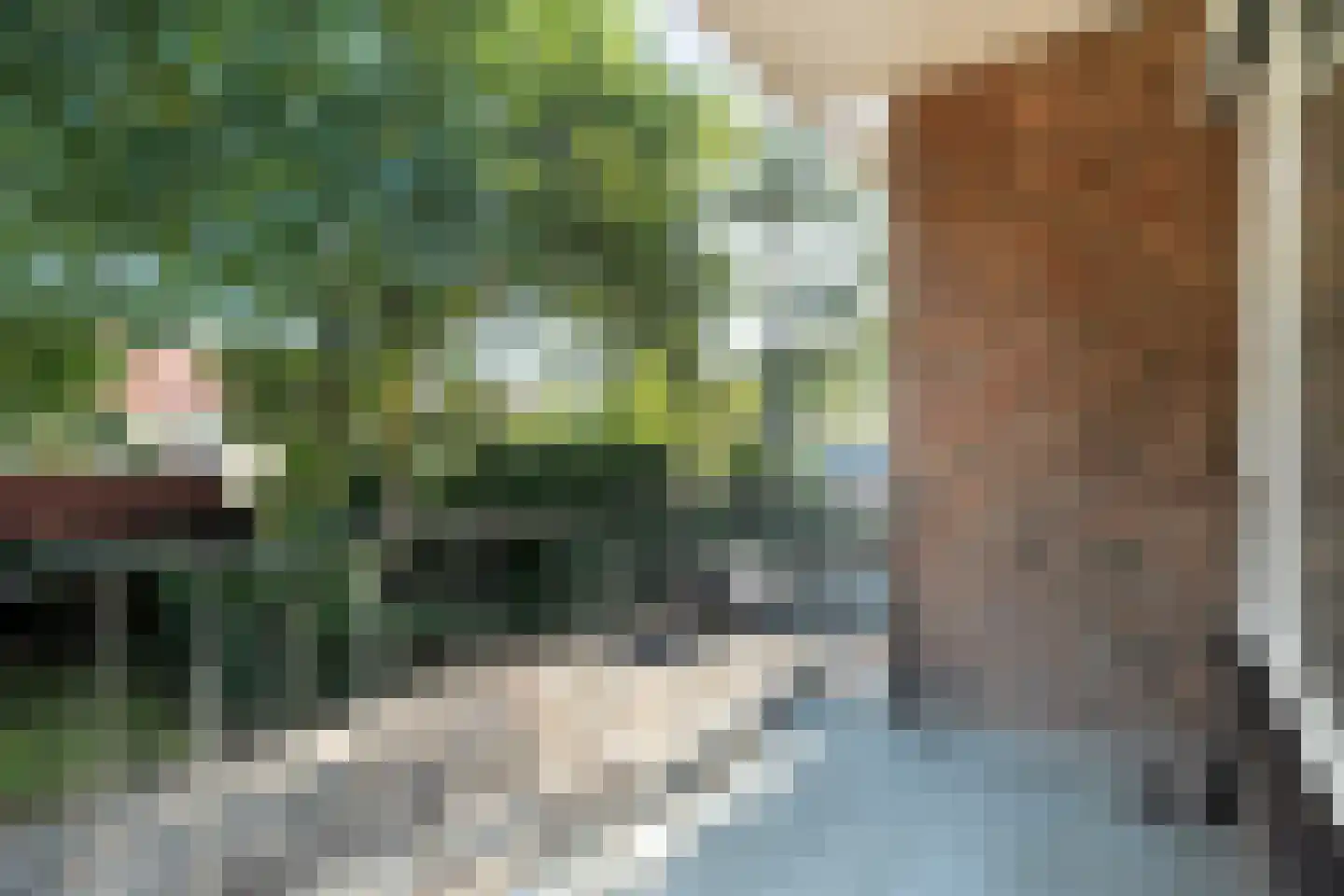 Hogenkampsweg 14 Zwolle thumbnail 21