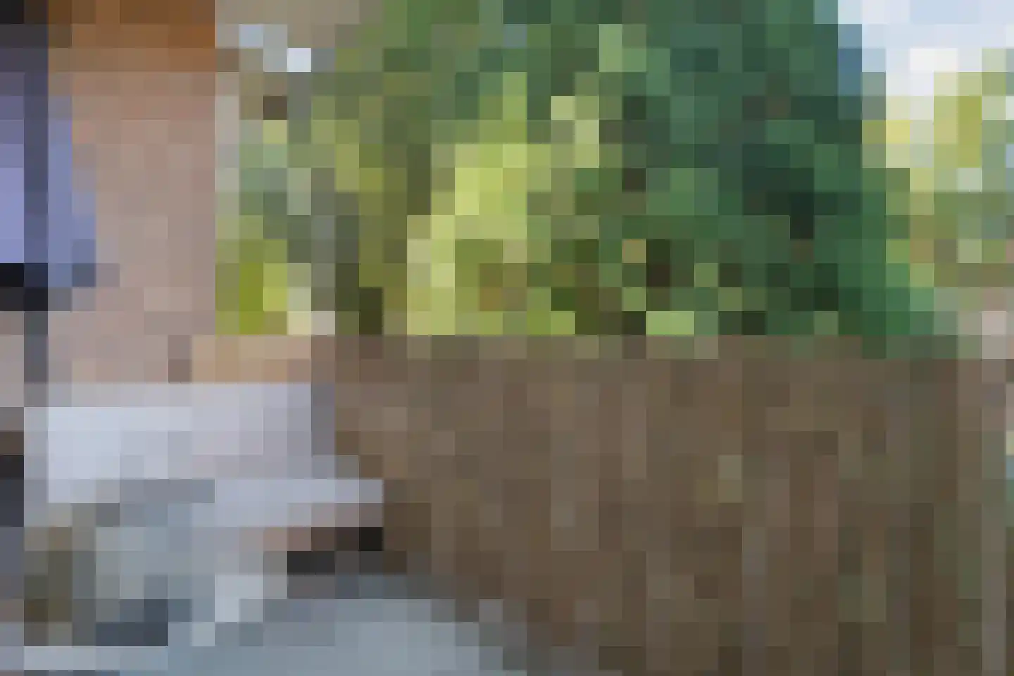 Hogenkampsweg 14 Zwolle thumbnail 25