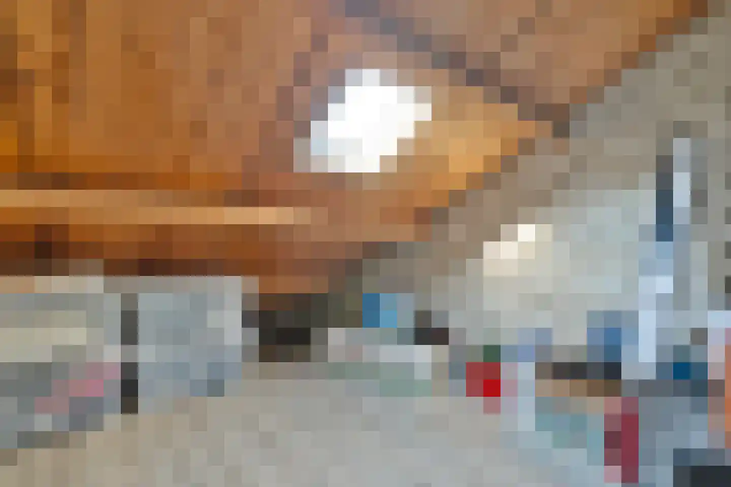Hogenkampsweg 14 Zwolle thumbnail 35