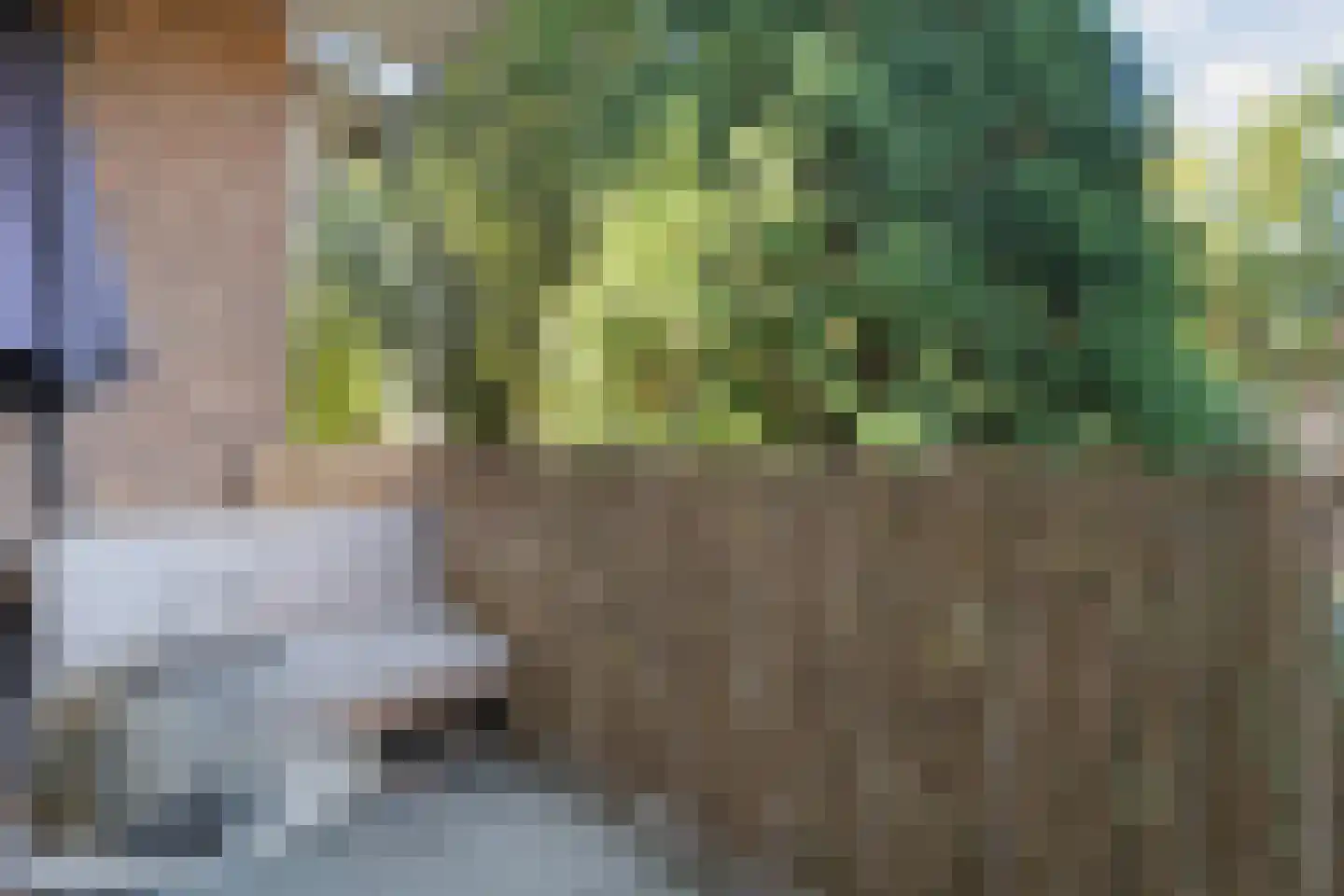 Hogenkampsweg 14 Zwolle thumbnail 9