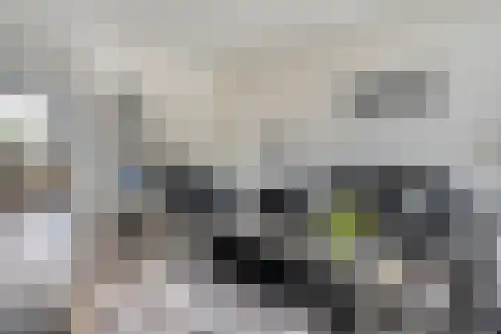 Hogenkampsweg 143 Zwolle thumbnail 11