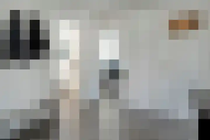 Hogenkampsweg 143 Zwolle thumbnail 18