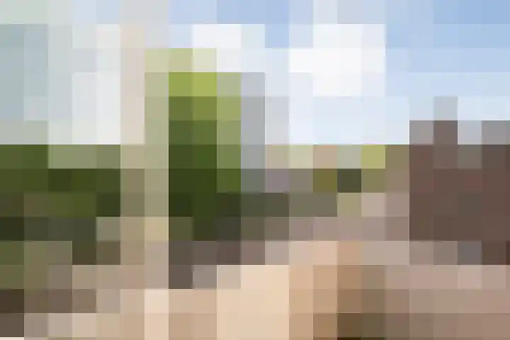 Hogenkampsweg 143 Zwolle thumbnail 23