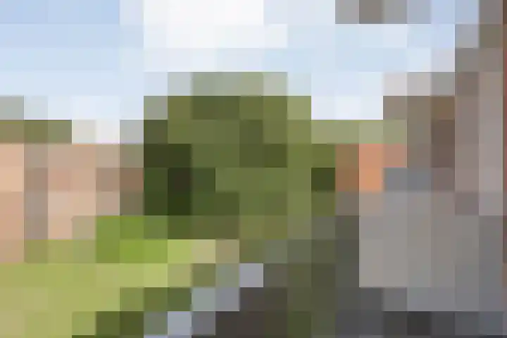 Hogenkampsweg 143 Zwolle thumbnail 26