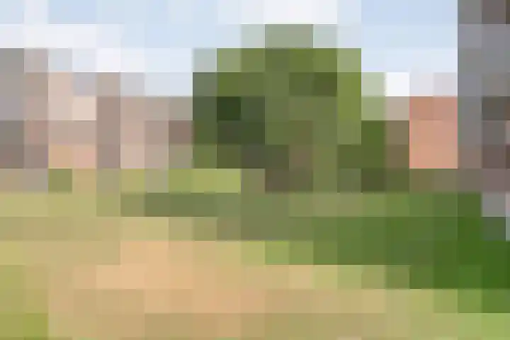 Hogenkampsweg 143 Zwolle thumbnail 28