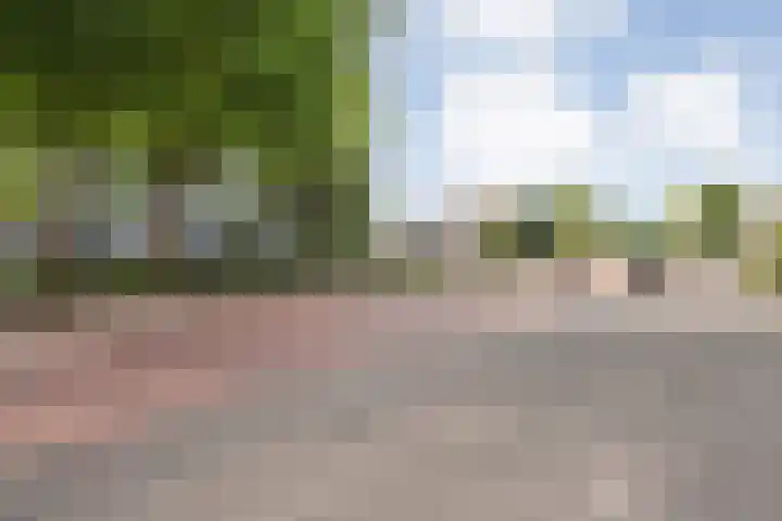 Hogenkampsweg 143 Zwolle thumbnail 5