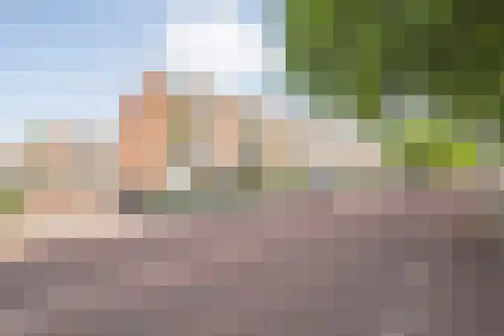 Hogenkampsweg 143 Zwolle thumbnail 6