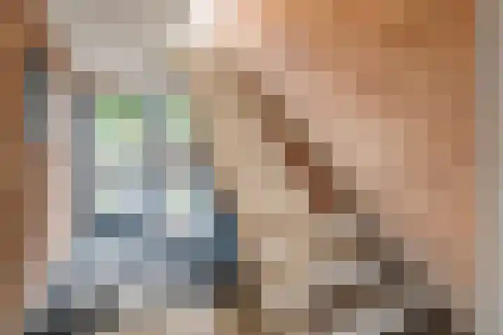 Hogenkampsweg 143 Zwolle thumbnail 8
