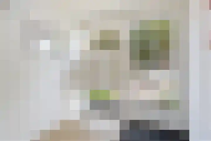 Hogenkampsweg 153 Zwolle thumbnail 10