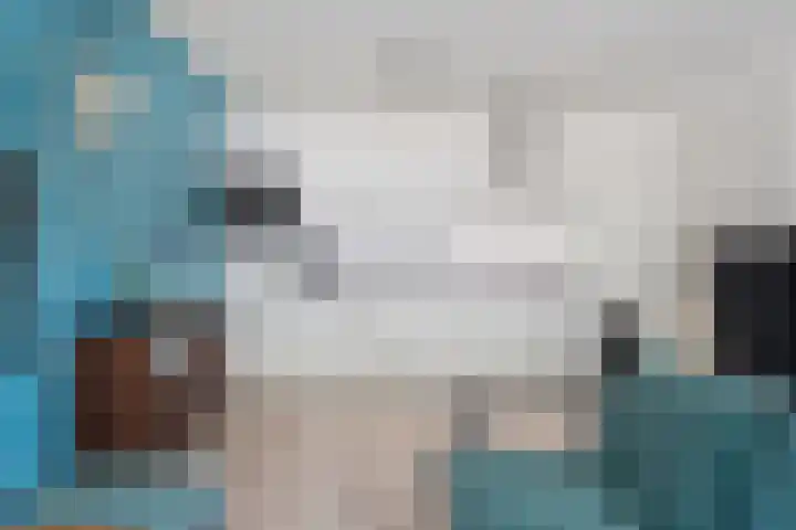 Hogenkampsweg 153 Zwolle thumbnail 15