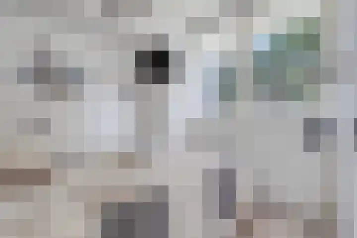 Hogenkampsweg 153 Zwolle thumbnail 16