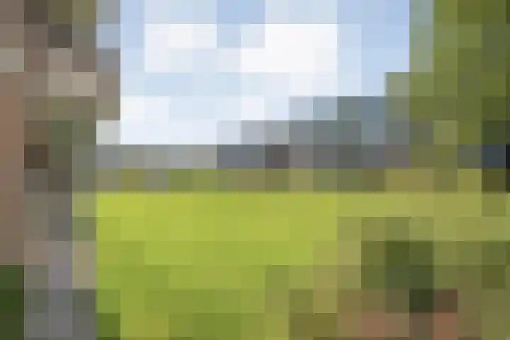 Hogenkampsweg 153 Zwolle thumbnail 21