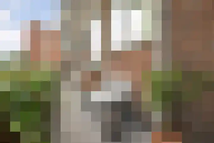 Hogenkampsweg 153 Zwolle thumbnail 4