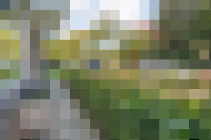 Hogenkampsweg 153 Zwolle thumbnail 5