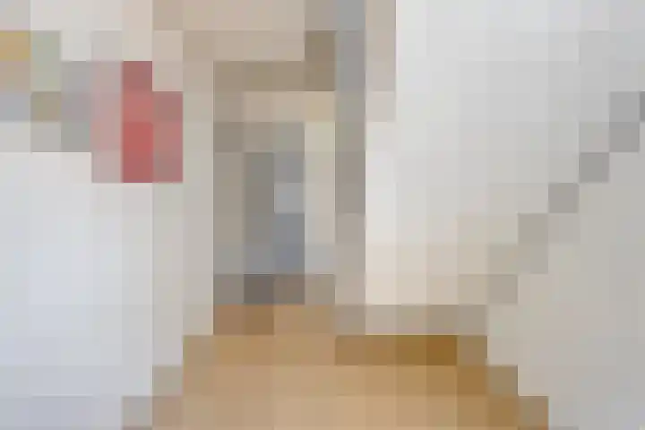 Hogenkampsweg 153 Zwolle thumbnail 9