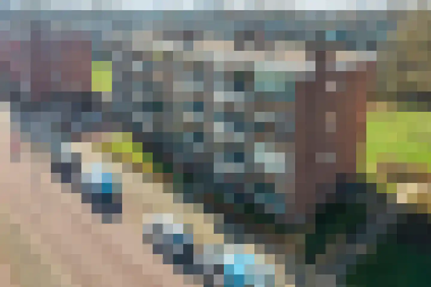 Hogenkampsweg 159 Zwolle thumbnail 5