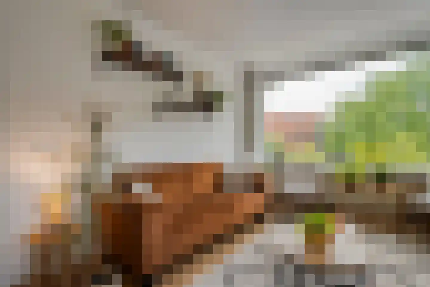 Hogenkampsweg 175 Zwolle thumbnail 10