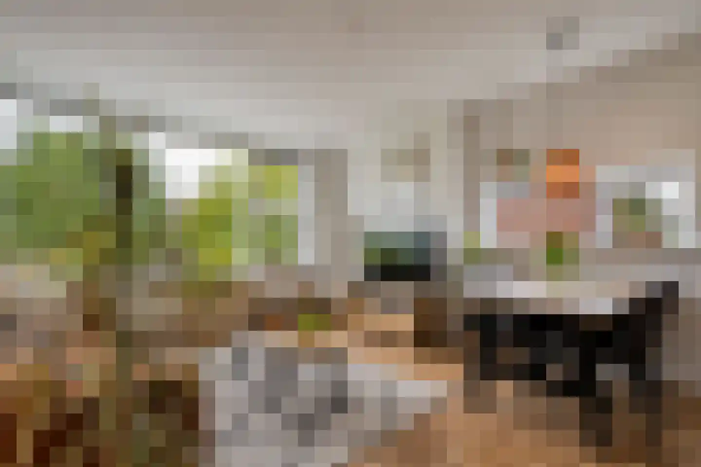 Hogenkampsweg 175 Zwolle thumbnail 11