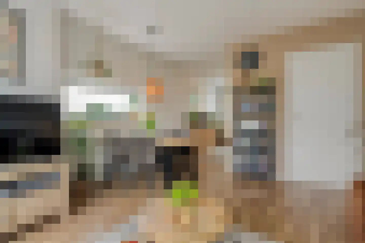 Hogenkampsweg 175 Zwolle thumbnail 12